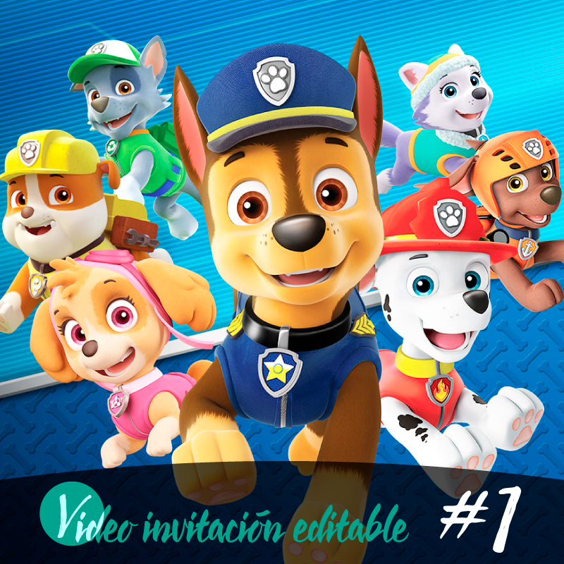 Paw Patrol 20 Biglietti Invito